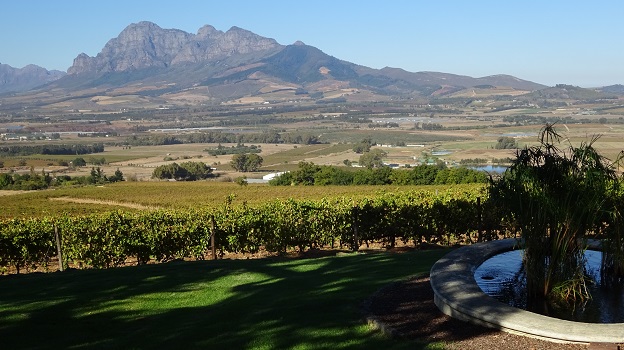 The view from jordan wine estate