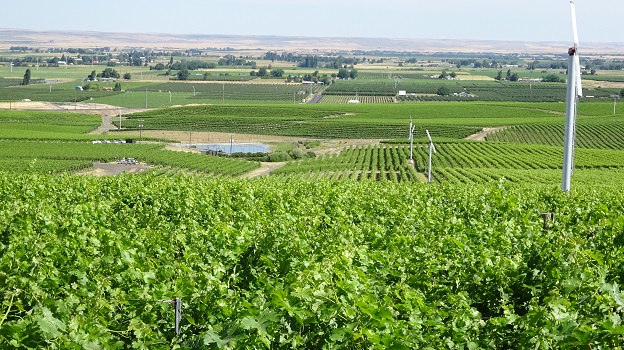 A view of walla walla valley from seven hills vineyard