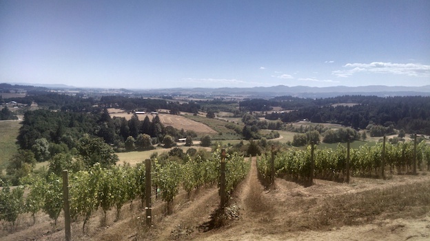 The bishop creek vineyard in yamhill carlton  now owned by nicolas jay copy