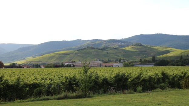 The hillsides at turckheim and the zind humbrecht winery cover