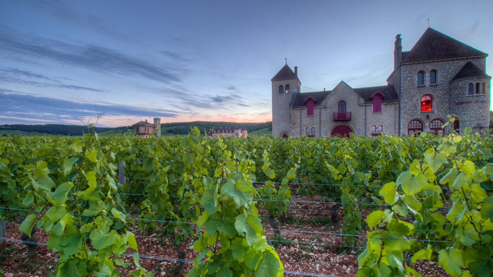 Château de la Tour Clos-Vougeot Vieilles Vignes 1985-2016 (Jun 2019)