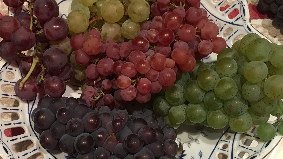 Cover version alsace grapes from left to right and clockwise pinot noir  chasselas  gewurztraminer and sylvaner