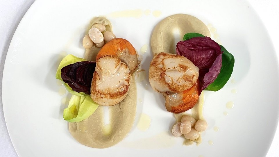 Scallops miani 1 copy