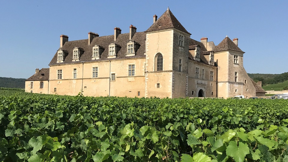 Georges mugneret's clos vougeot wines close to the chateau copy