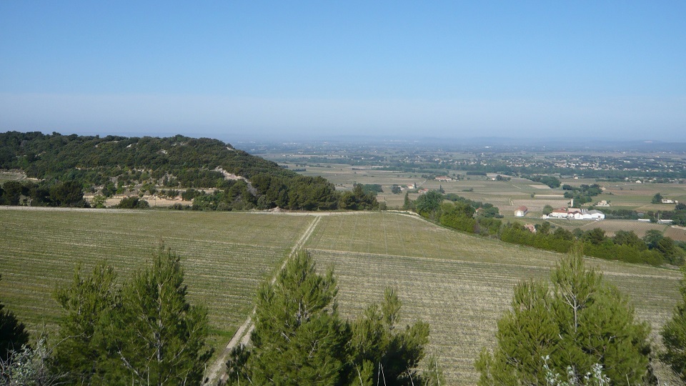 High altitude vineyards in gigondas  like at domaine des bosquets  provide optimal conditions wines of balance and freshness. copy