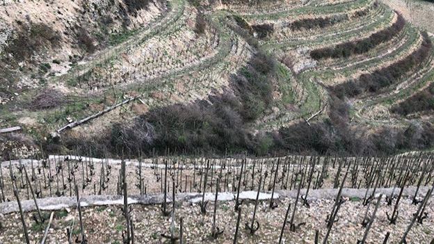 For centuries  the garnitic soils of the faned hermitage hill have produced some of the most compex  ageworthy wines in the world copy