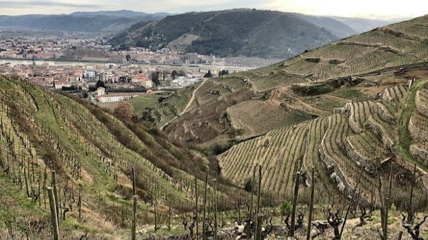 Some of the most complex and age worthy wines in the world come from the granitic soils of the hermitage hill copy