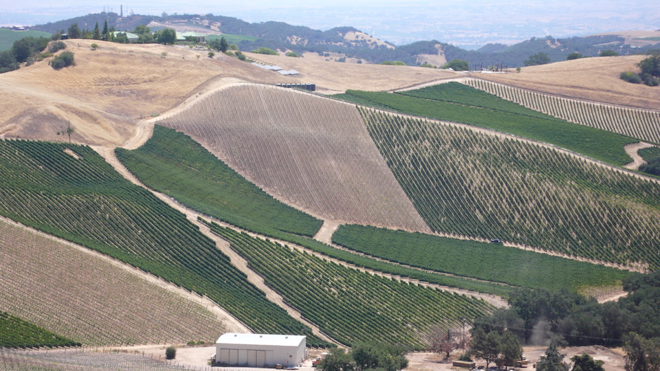 The high altitude vineyards of the adelaida district produce some of paso robles' most complex  ageworthy wines.jpg copy