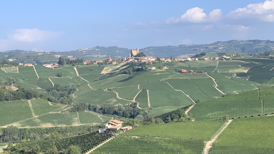 What makes a great barolo vintage cover
