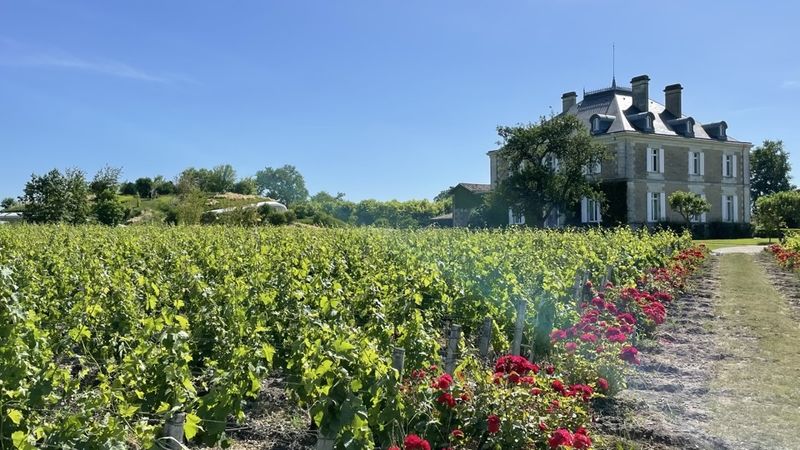 7 haut bailly winery and chateau copy