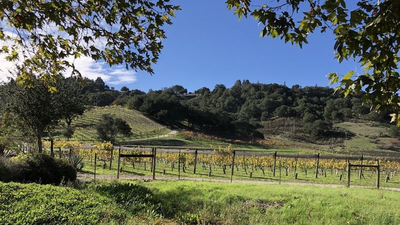 John alban's home vineyard  planted in 1990  is the source for some of the new world's most sought after  rho%cc%82ne variety based red and white wines  which age effortlessly..jpg copy