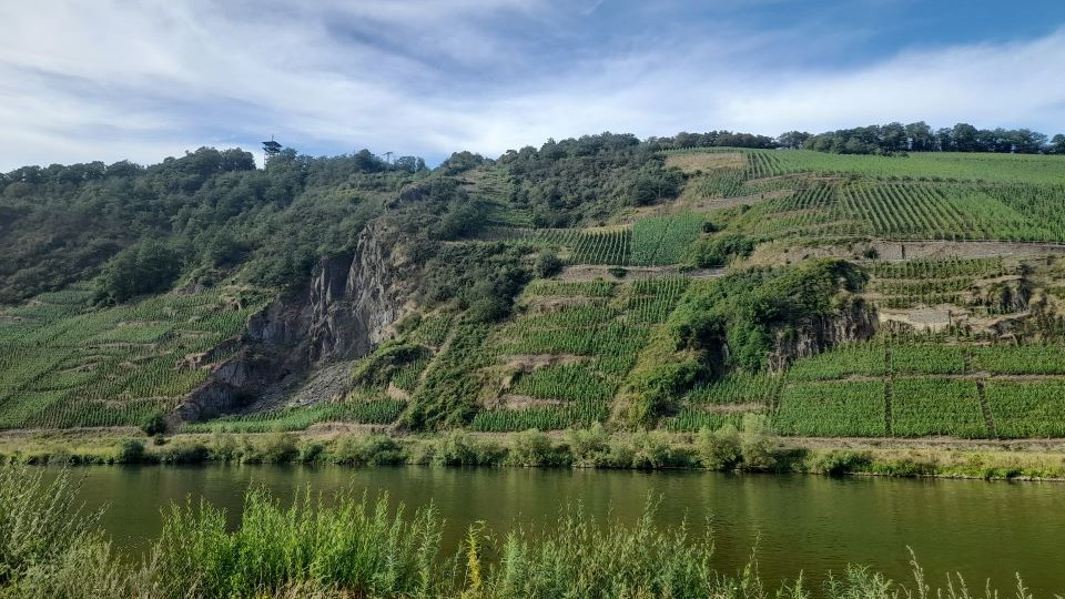 1 cover the the craggy and varied slope of the p%c3%bcndericher marienburg vineyard farmed by the clemens busch estate. copy