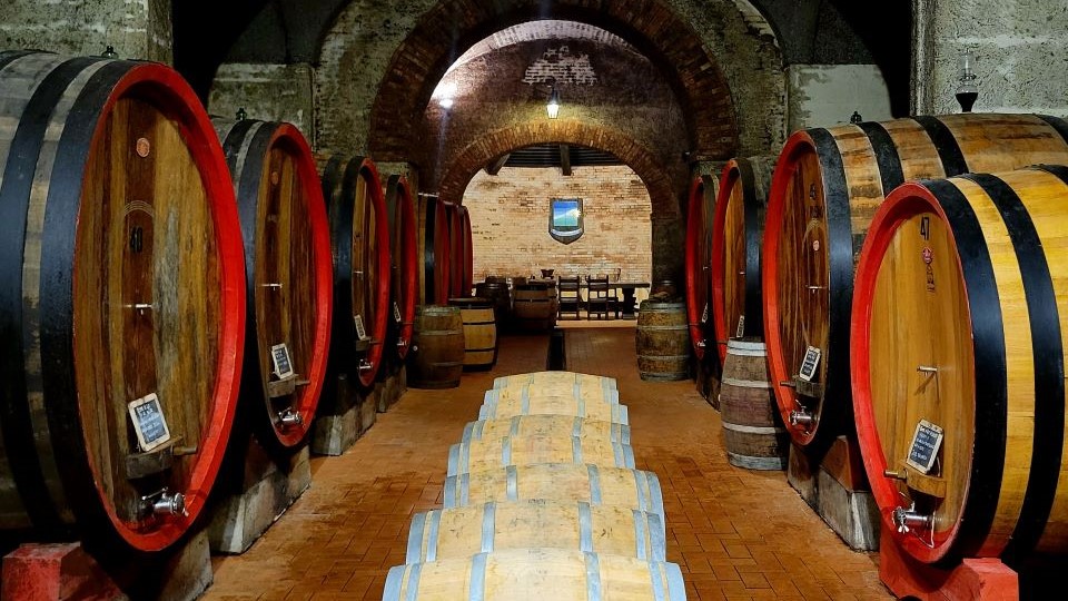 The barrel aging room at valdipiatta winery copy