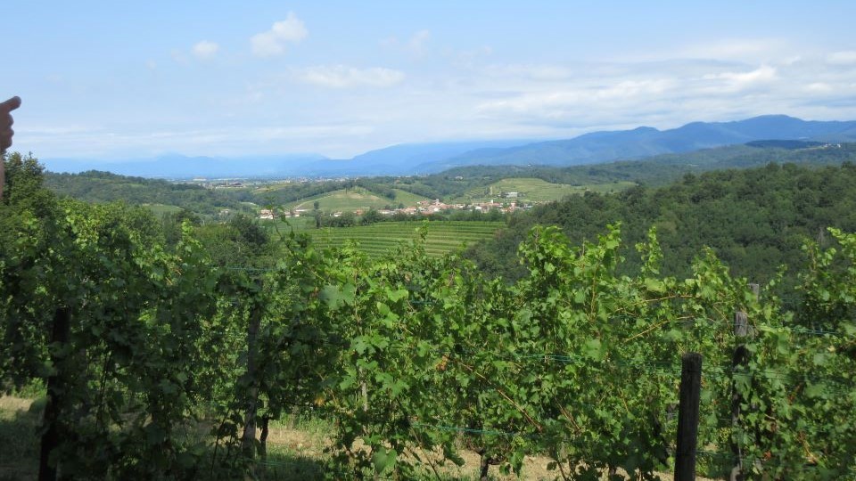 A view of the collio region from dolegna del collio