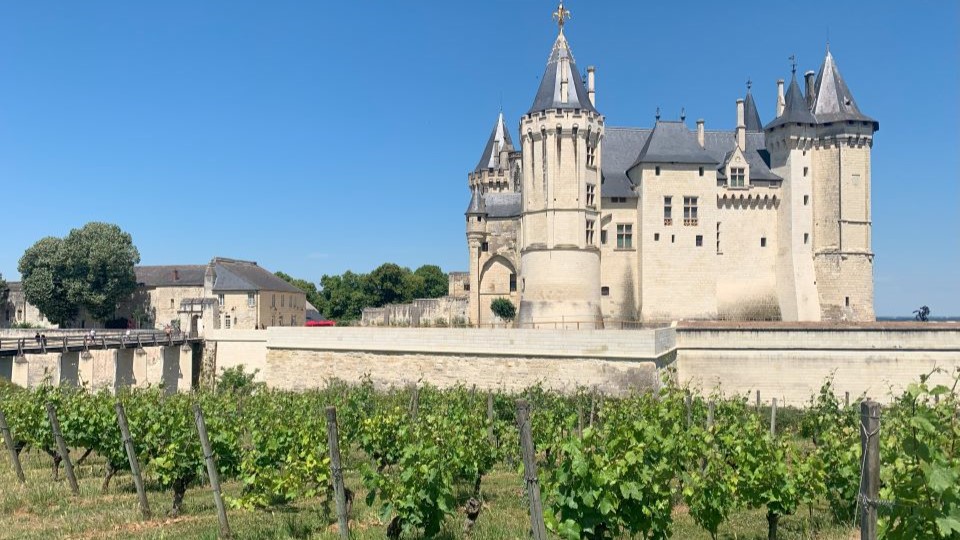 The vineyards of saumur champigny like south and east of the beautiful chateau de saumur copyfinal cover