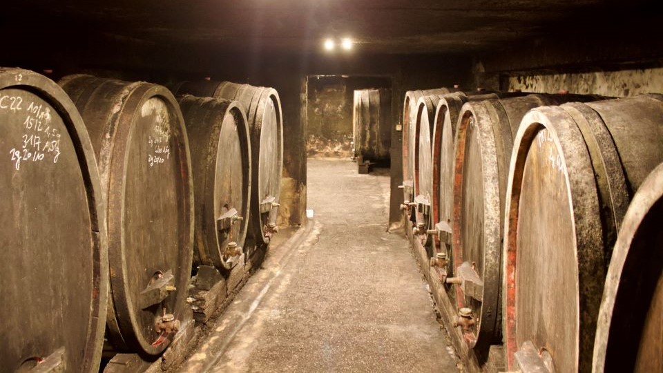Exploring the ancient cellars of domaine auguste clape amidst the heart of cornas copycover