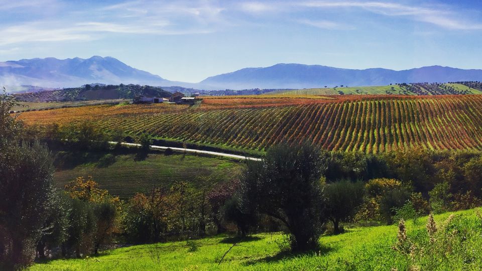 Cugnoli landscape of rolling hills and the majella massif in the distance copy %281%29