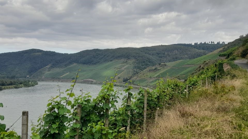 Cover 1 a true winner of the 2023 vintage   the bopparder hamm with its hot  steep slopes facing the rhine copy