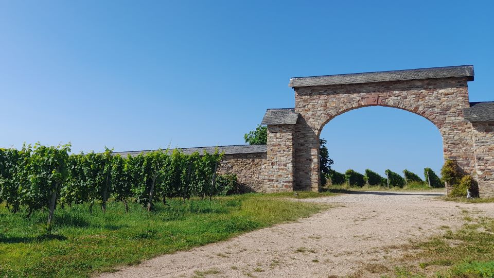 The entrance to the historic steinberg vienayrd at kloster eberbach cover final