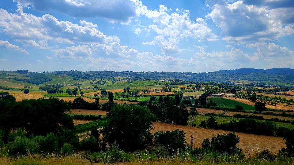 The gently rolling hills of montefalco copy