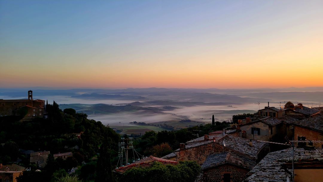 Brunello di montalcino cover