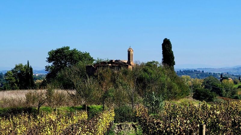 Vinous the ruins of pieve cerliana