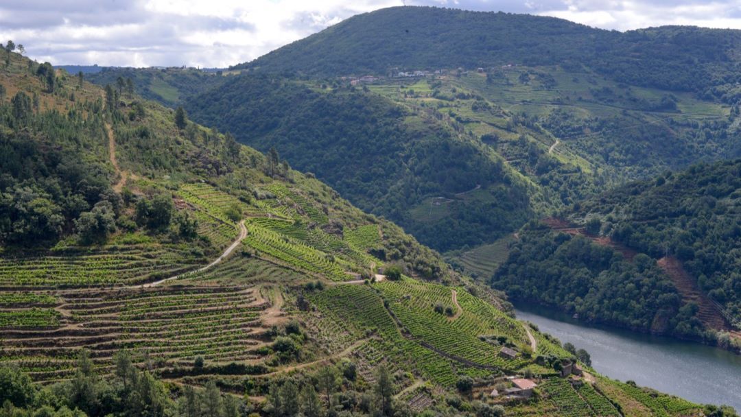 Vinous ribeira sacra el bierzo cover