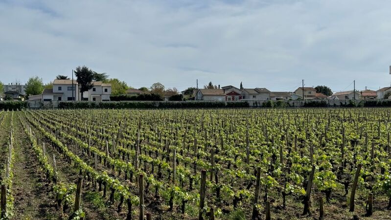 2024 bordeaux ep ag cover