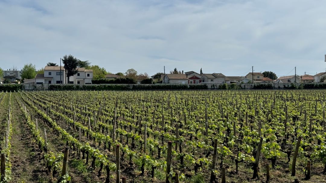 2024 bordeaux ep ag cover