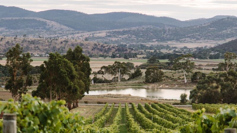Aussie chardonnay cover