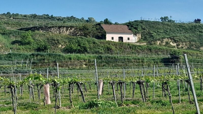 Wachau cover