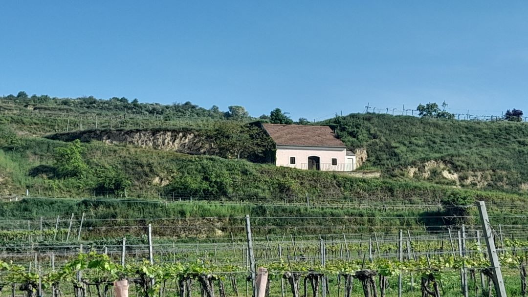 Wachau cover new