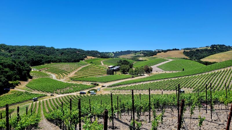Paso robles cover