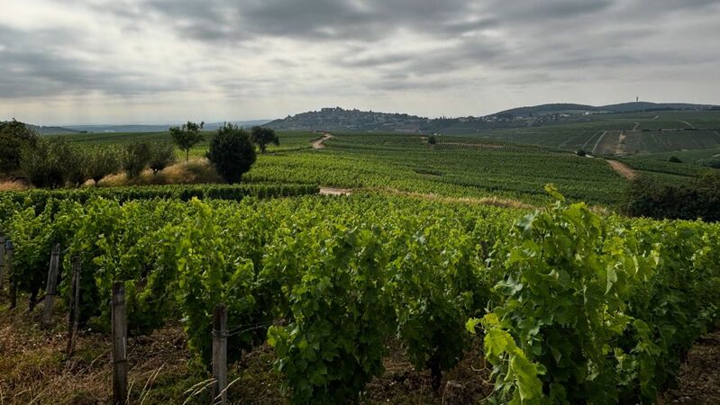 Sancerre cover 1