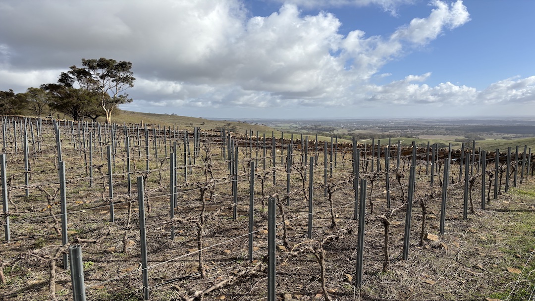 Barossa clare cover