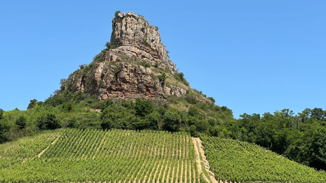 Roc du solutre vinous