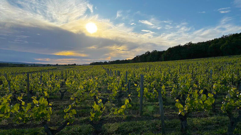 Loire valley cover final %281%29