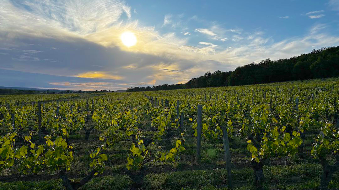 Loire valley cover final %281%29