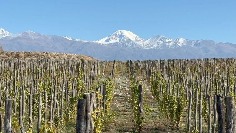 Uco valley cover