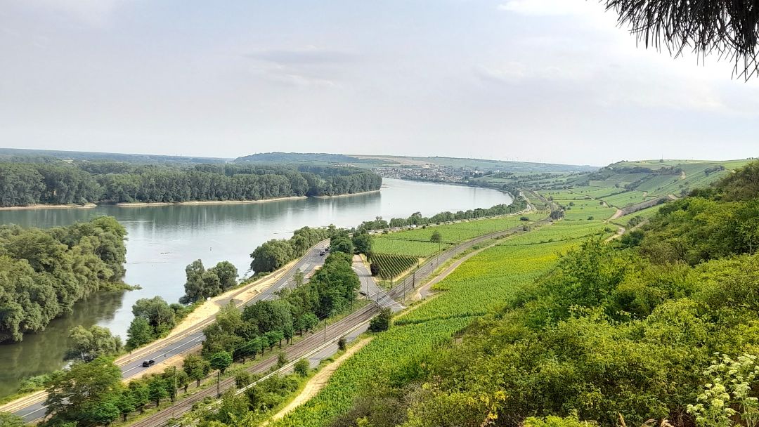 Rheinhessen cover