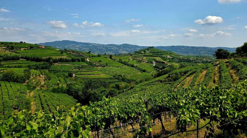 Veneto cover