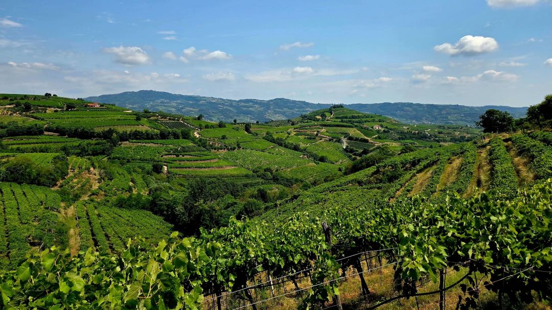 Veneto cover