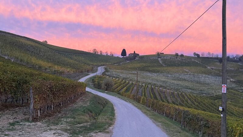 Barolo cover vinous
