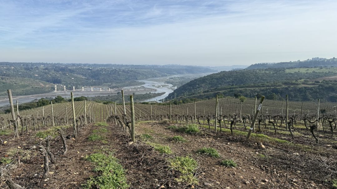 Coastal chile cover vinous