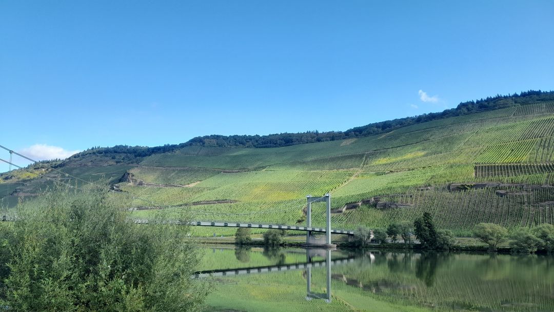 Mosel cover vinous
