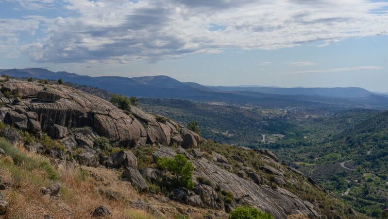 Gredos cover vinous