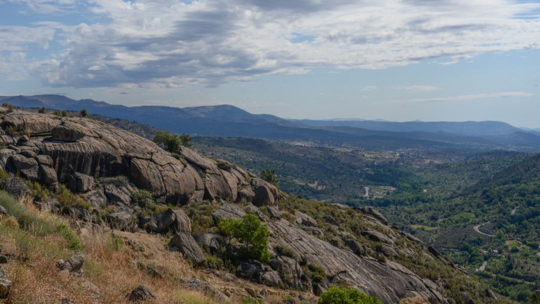 Gredos cover vinous