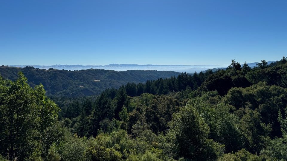 Uploads 1761668133641 rhys