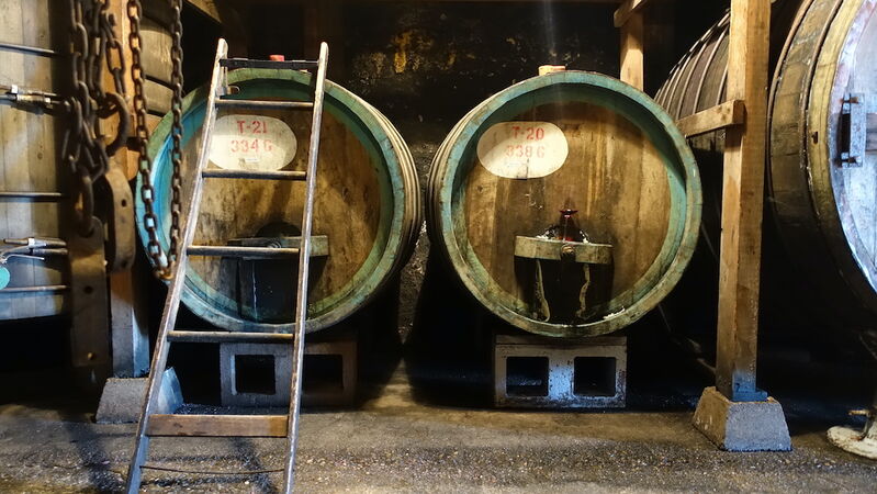 Napa 2015s cover vinous