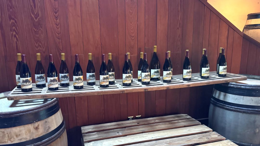 El molino cover vinous